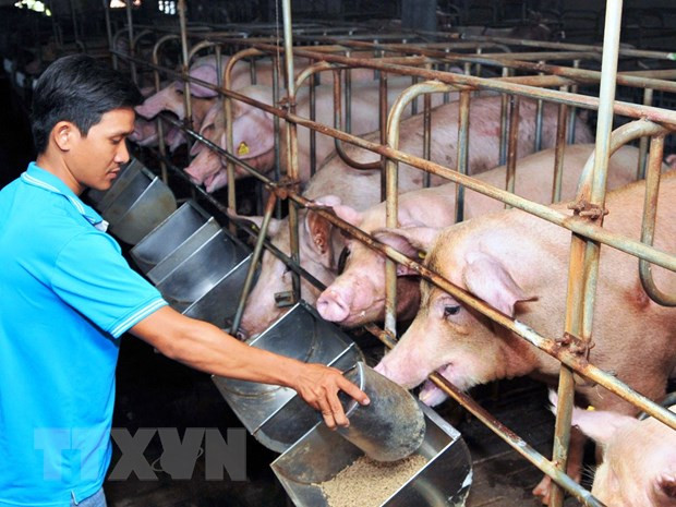 Kỳ vọng mới cho các doanh nghiệp ngành chăn nuôi trong năm 2023 ảnh 1