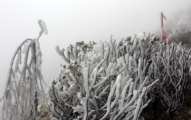 [Photo] Ngỡ ngàng ngắm băng giá phủ trắng Fansipan vào tháng Tư ảnh 2