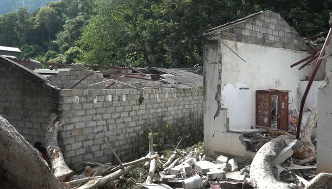 Cây cổ thụ bị mục gốc, đổ sập xuống khu nhà trọ ở Cao Bằng ảnh 1