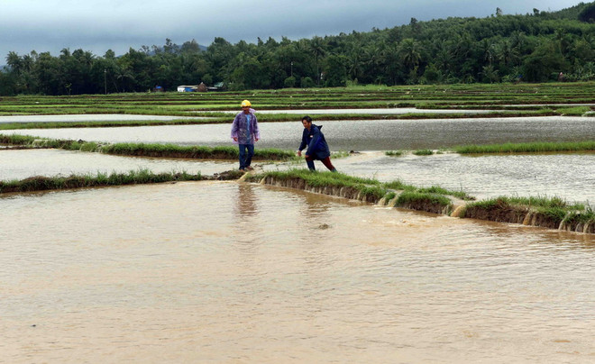 Đề phòng lũ quét tại các tỉnh Quảng Nam, Quảng Ngãi, Bình Định ảnh 1