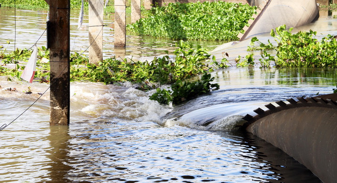 Xả đập kiểm soát lũ sông Cửu Long và vùng Tứ Giác Long Xuyên ảnh 1