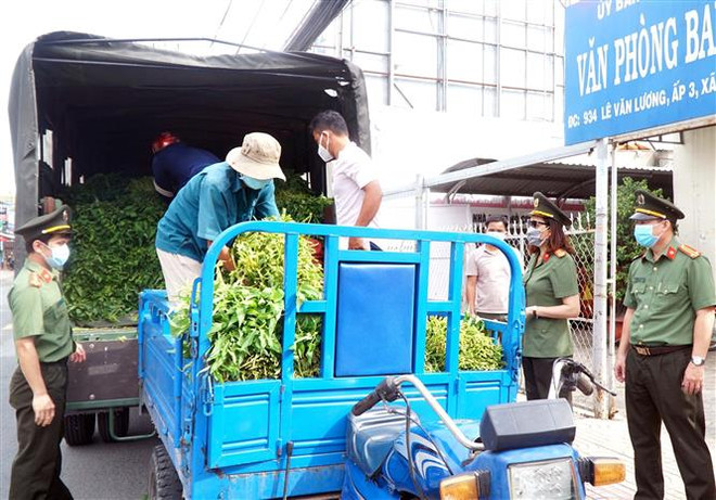 TP.HCM: Chăm lo tốt hơn cho người dân để sớm đẩy lùi dịch bệnh ảnh 2