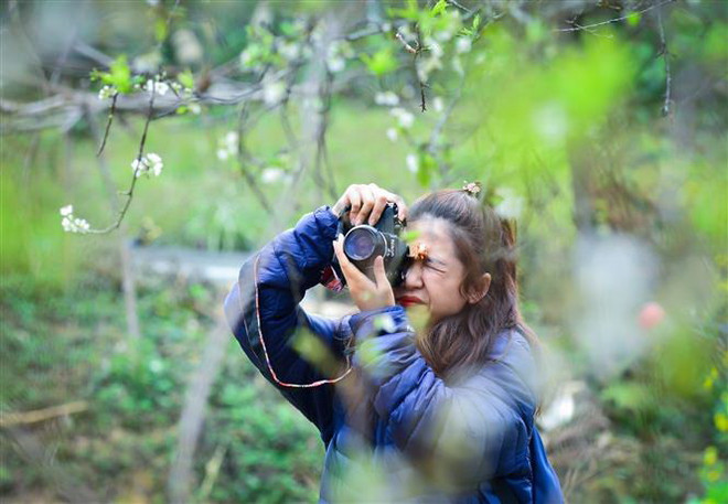 Lợi ích kép khi nông nghiệp kết đôi với 'ngành công nghiệp không khói' ảnh 1