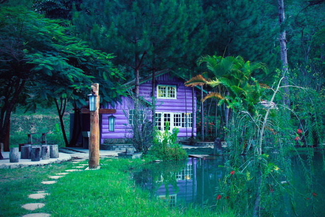 Ngành du lịch nếm trải giai đoạn 'đỉnh đáy' khó khăn nhất lịch sử ảnh 2