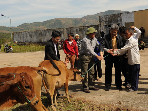 Đầu tư hơn 3.460 tỷ đồng giảm nghèo khu vực Tây Nguyên ảnh 1