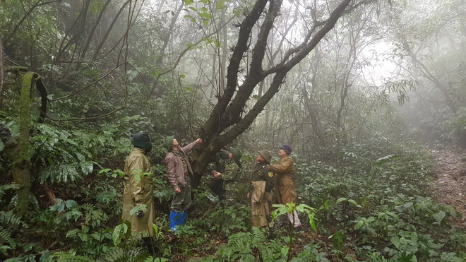 Giữ gìn nét đẹp hoang sơ của Vườn quốc gia Phia Oắc-Phia Đén ảnh 1