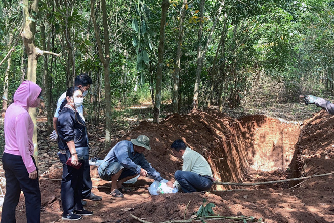 Vụ chôn lợn chết trong lô cao su: Không phát hiện virus gây bệnh ảnh 1