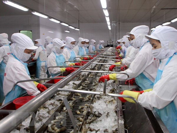 Cơ hội, thách thức của ngành khai thác hải sản: Bài học từ 'thẻ vàng' ảnh 2