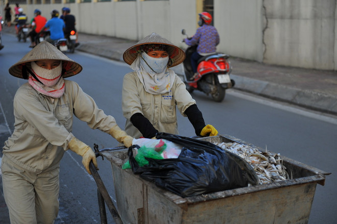[Photo] Cá chết bất thường nổi trắng Hồ Tây, bốc mùi hôi tanh ảnh 5