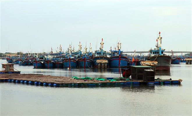 Tàu thuyền neo đậu tránh bão. (Ảnh: Công Thử/TTXVN) Các địa phương khẩn trương triển khai biện pháp phòng, chống bão số 9 ảnh 1