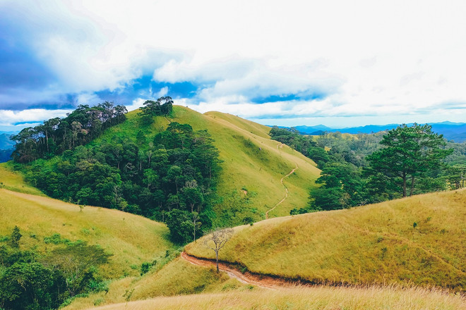 Khảo sát và xây dựng tuyến du lịch mạo hiểm Tà Năng-Phan Dũng ảnh 1