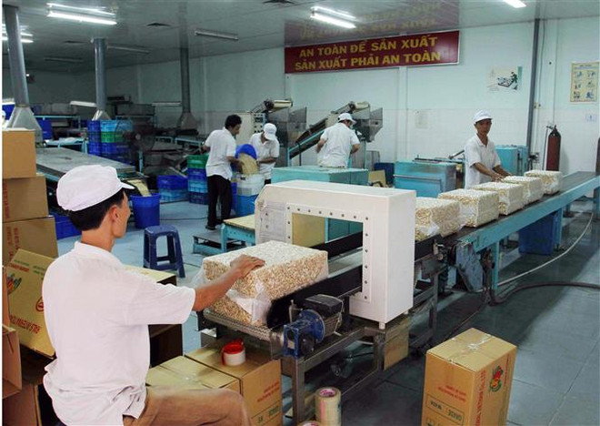 'Vùng đất thép' Ninh Thuận đổi mới, phát triển toàn diện và bền vững ảnh 3