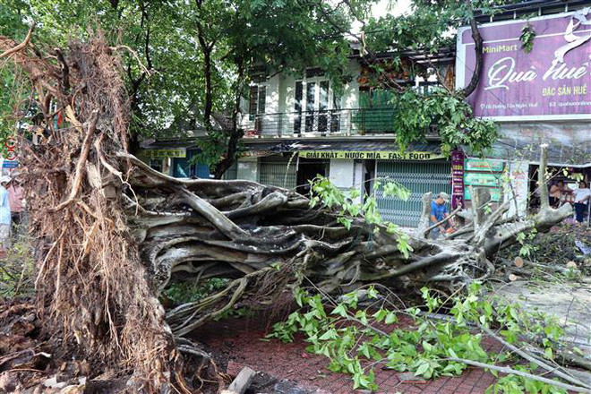 Mưa dông gây hư hại nhà cửa, hệ thống điện ở Thừa Thiên-Huế ảnh 1