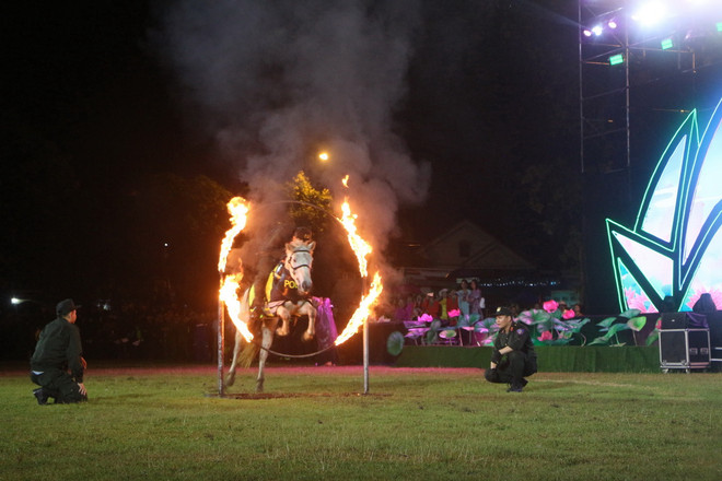 ttxvn_le hoi lang sen 2.jpg