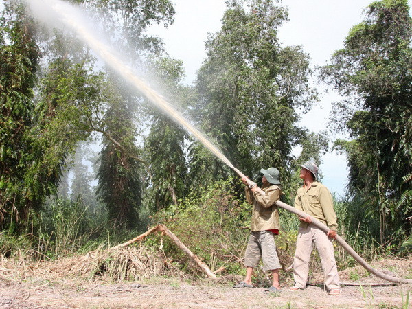 Vườn quốc gia U Minh Hạ khô hạn, có nguy cơ cháy ảnh 1