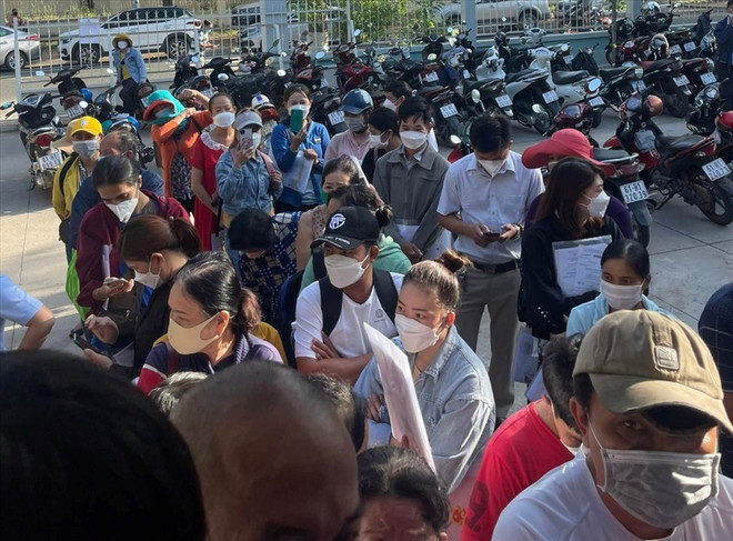 Vì sao người dân ở Dầu Tiếng chen chúc đi làm giấy tờ nhà đất? ảnh 1