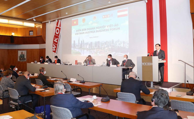 Nhiều dư địa tăng cường hợp tác song phương giữa Việt Nam và Áo ảnh 2