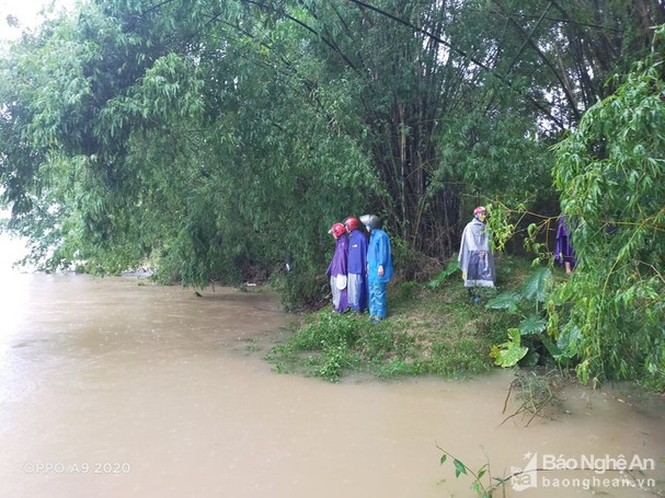 Mưa lũ gây nhiều thiệt hại tại Nghệ An, một số tuyến đường bị ngập ảnh 1