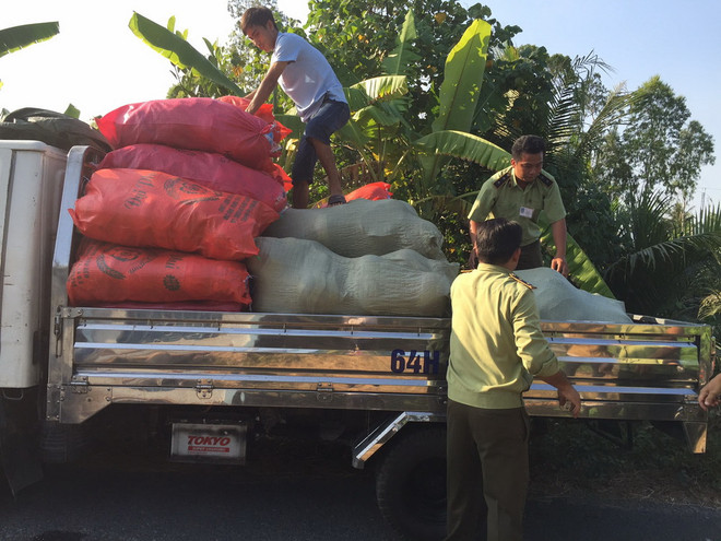 Phát hiện một cơ sở sản xuất mũ bảo hiểm giả quy mô lớn ảnh 1