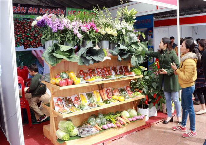 Nhiều sản phẩm rau củ công nghệ cao của Đà Lạt hấp dẫn người xem. (Ảnh: Chu Quốc Hùng/TTXVN) Gặp gỡ hữu nghị nông dân Việt Nam-Lào-Campuchia gắn với nông sản sạch ảnh 1