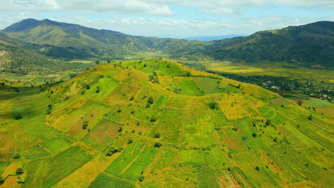 Tuần lễ hoa dã quỳ-núi lửa Chư Đăng Ya sẽ diễn ra trong tháng 11 ảnh 1