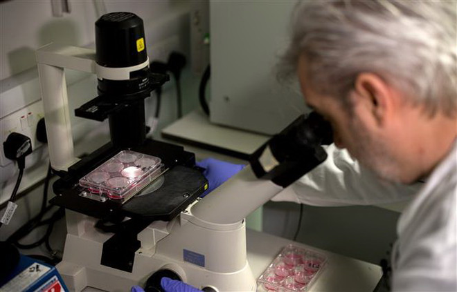 Chuyên gia nghiên cứu vắcxin phòng COVID-19 trong phòng thí nghiệm tại London, Anh. (Ảnh: AFP/TTXVN) Thuốc trị virus HIV không hiệu quả trong điều trị COVID-19 ảnh 1