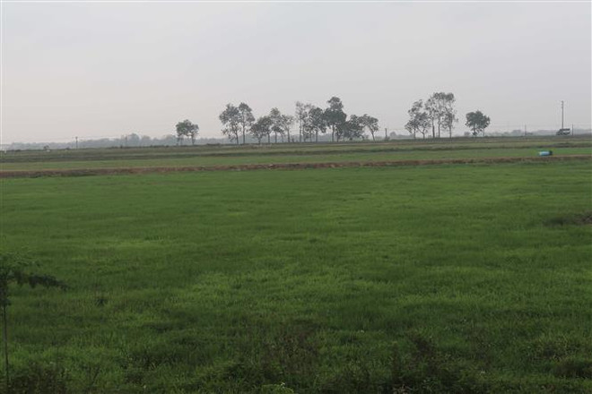 Vĩnh Phúc: Bắt tạm giam nguyên Bí thư và nguyên Chủ tịch xã Phú Xuân ảnh 1