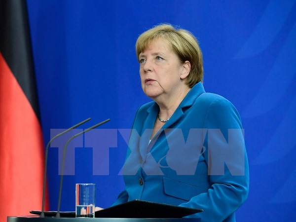 Đảng Cánh tả lập chiến lược hạ bệ Thủ tướng Đức Angela Merkel ảnh 1
