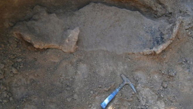 Phát hiện hóa thạch loài thú răng chạm có niên đại 16.000 năm ảnh 1