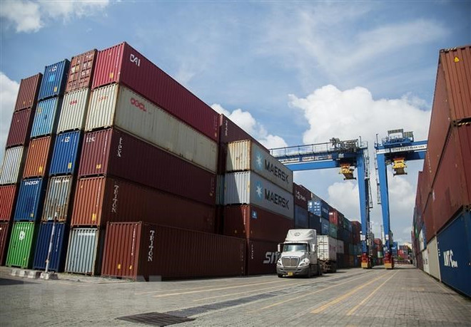 Container hàng hóa tại cảng biển. (Ảnh minh họa: Hồng Đạt/TTXVN) Vụ 5 container nghi bị lừa đảo ở Dubai: 'Vá lỗ hổng' rủi ro xuất khẩu ảnh 1