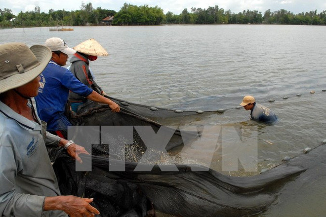 Quảng Nam: Một người thiệt mạng do dùng mìn tự chế để đánh cá ảnh 1