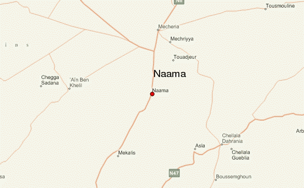 Máy bay quân sự rơi xuống cánh đồng sau khi va phải cột điện ảnh 1