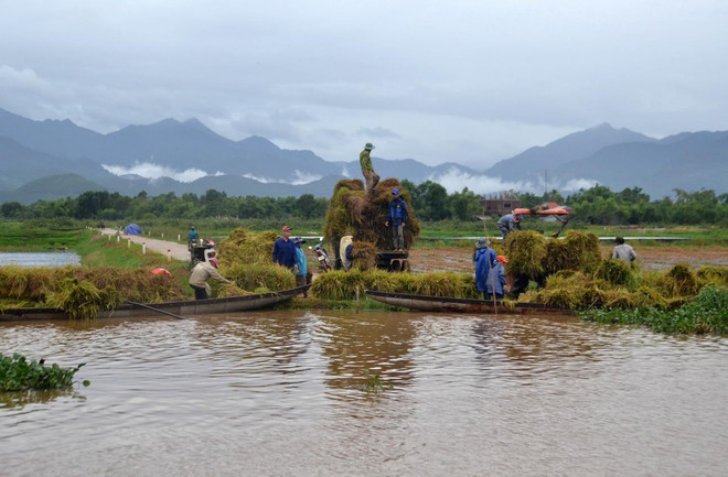 Thừa Thiên-Huế: Mưa to gây úng ngập nhiều vùng, 1 người chết ảnh 1