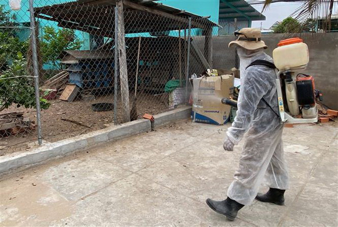 Điện Biên: Tiêu hủy đàn lợn nhiễm dịch tả lợn châu Phi tại Mường Nhé ảnh 1