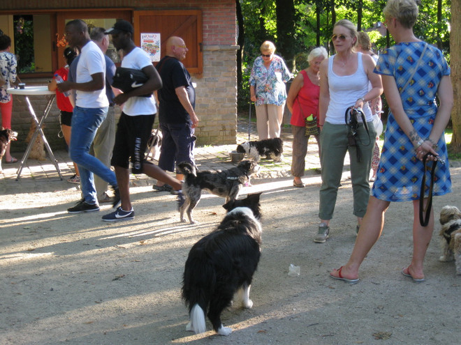 Người Bỉ "móc hầu bao" 1,3 tỷ euro mỗi năm dành cho thú cưng ảnh 1