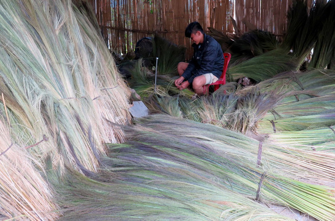 Phó Thủ tướng: Bắc Trà My không được để người dân thiếu đói ảnh 1