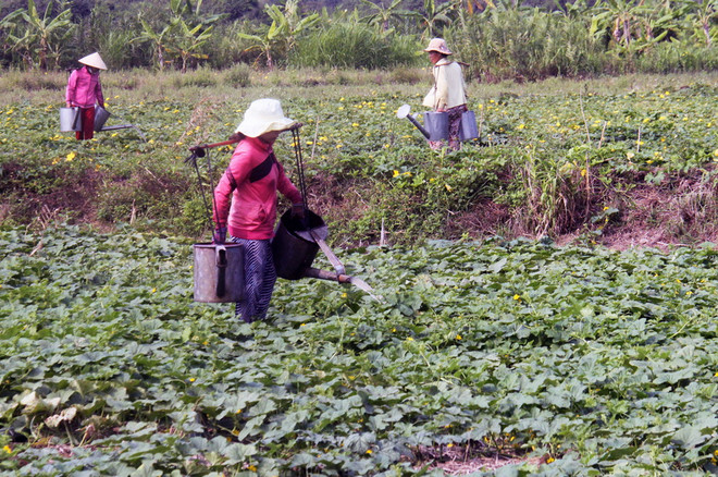 Nghiên cứu sử dụng công nghệ tiết kiệm nước trong mùa khô hạn ảnh 2