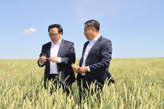 Cộng hòa Bashkortostan cam kết tạo thuận lợi cho doanh nghiệp Việt ảnh 2