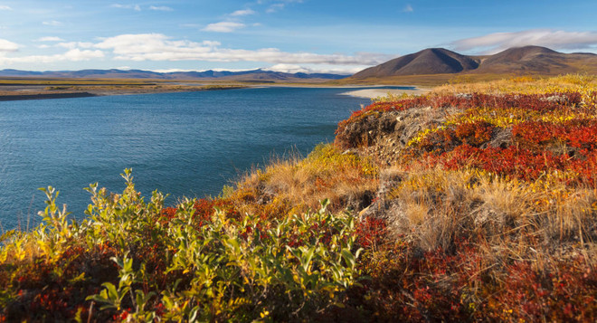 Công dân Nga có thể được cấp 1 hécta đất ở vùng Viễn Đông ảnh 1