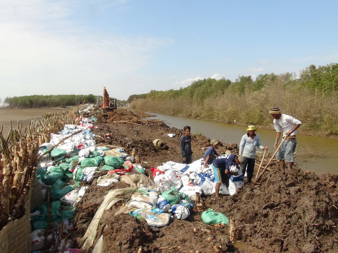 Thanh Hóa: Mưa lớn kéo dài, đê sông Cầu Chày bị nứt và sạt lở ảnh 1