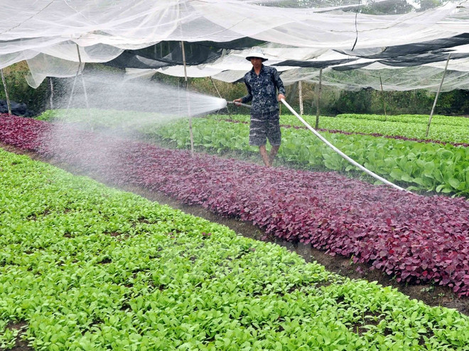 Việt Nam thúc đẩy hội nhập kinh tế trong không gian Pháp ngữ ảnh 2