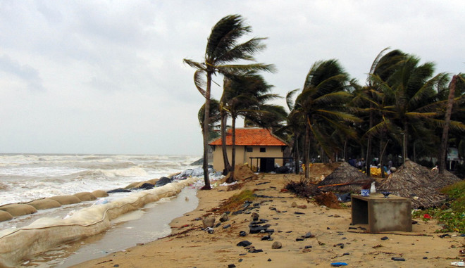 Thử nghiệm phương án làm kè mỏ hàn chống sạt lở bờ biển Cửa Đại ảnh 1