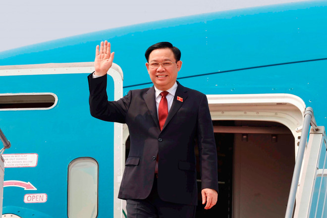 Tạo động lực mạnh mẽ đưa quan hệ Việt Nam-Iran lên tầm cao mới ảnh 1