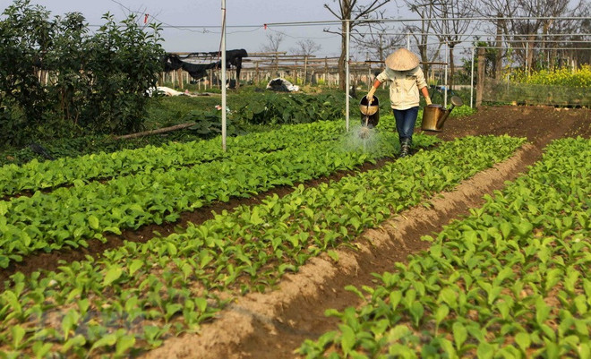 Bộ trưởng Nguyễn Xuân Cường nêu những trăn trở của ngành nông nghiệp ảnh 2