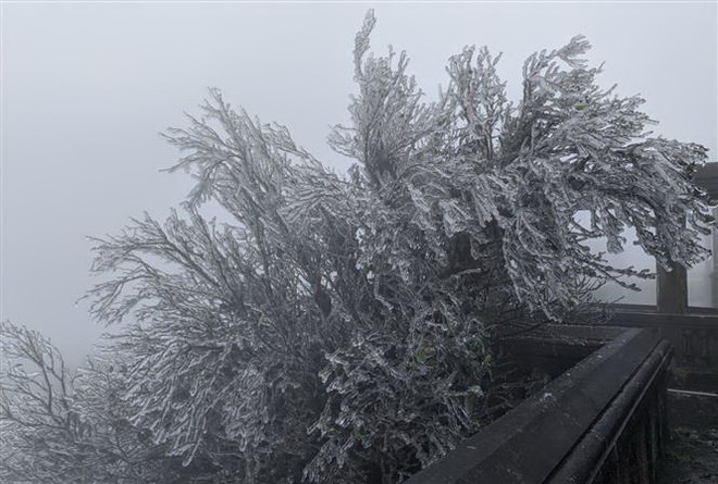 Yên Bái: Nhiệt độ xuống thấp, xuất hiện băng tuyết ở Mù Cang Chải ảnh 1