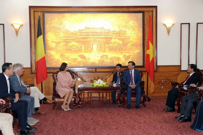 Thừa Thiên-Huế thúc đẩy hợp tác với các địa phương của Vương quốc Bỉ ảnh 1