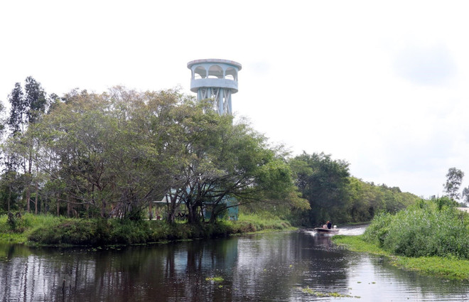 Khám phá rừng tràm, đất than bùn tại Vườn quốc gia U Minh Thượng ảnh 1