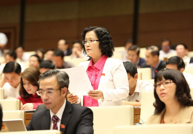 Thủ tướng trả lời về việc sắp xếp lại 123 tổ chức phối hợp liên ngành ảnh 1