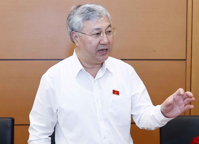 Đại biểu Quốc hội nêu quan điểm về đề xuất giữ giá trần vé máy bay ảnh 1