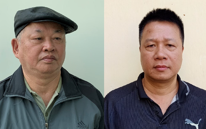 Bắt tạm giam Chủ tịch HĐQT Công ty cổ phần Đầu tư Tập đoàn Đại Nam ảnh 1